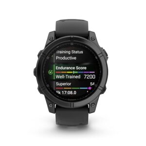 Garmin Fenix E,47mm,Slate Gray Steel/Black - Image 5